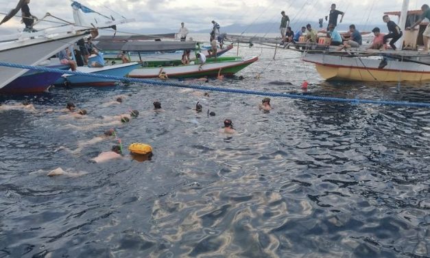 Model Adaptasi Yang Bisa Di Lakukan Untuk Hadapi Krisis Iklim