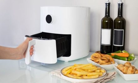 Studi Terbaru: Air Fryer Lebih Ramah Lingkungan Di Banding Oven