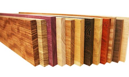 3 Kayu Terbaik Yang Wajib Di Ketahui