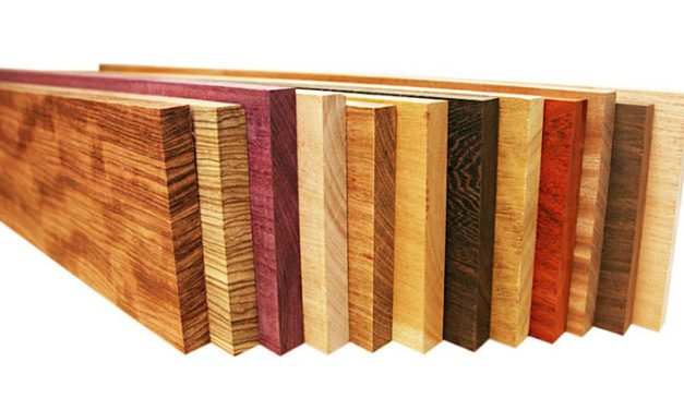 3 Kayu Terbaik Yang Wajib Di Ketahui