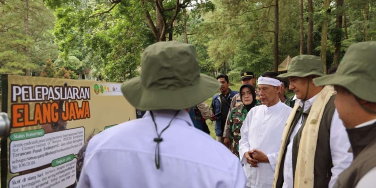 Jaga Hutan Bersama Warga: Jurus Baru Pak Menteri Kemenhut