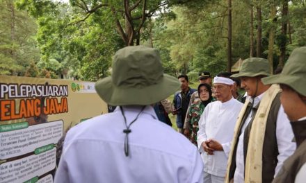 Jaga Hutan Bersama Warga: Jurus Baru Pak Menteri Kemenhut
