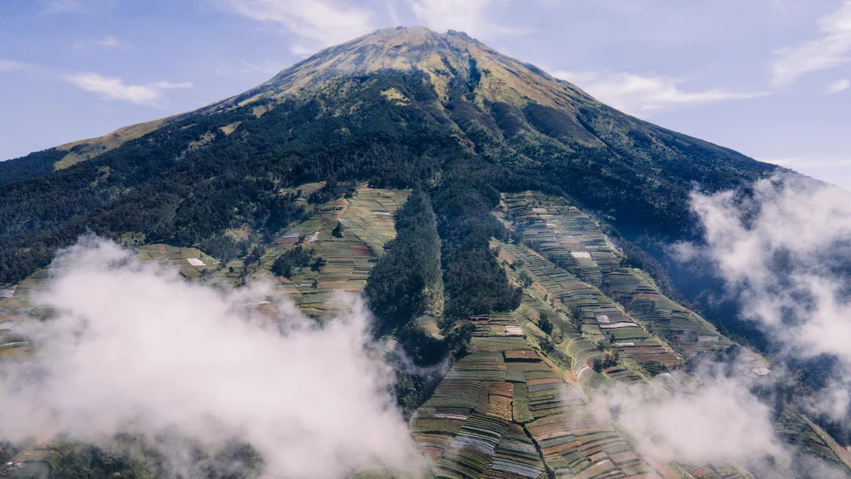 Mau Muncak? Ini Deretan Gunung Paling Tinggi Kita
