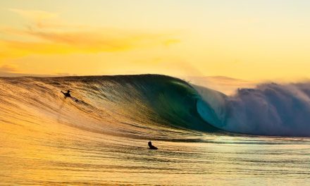 Sejarah Singkat Rip Curl: Legenda Brand Surfing