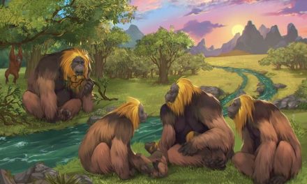 Temuan Baru Evolusi Primata Bikin Ilmuwan Terkejut