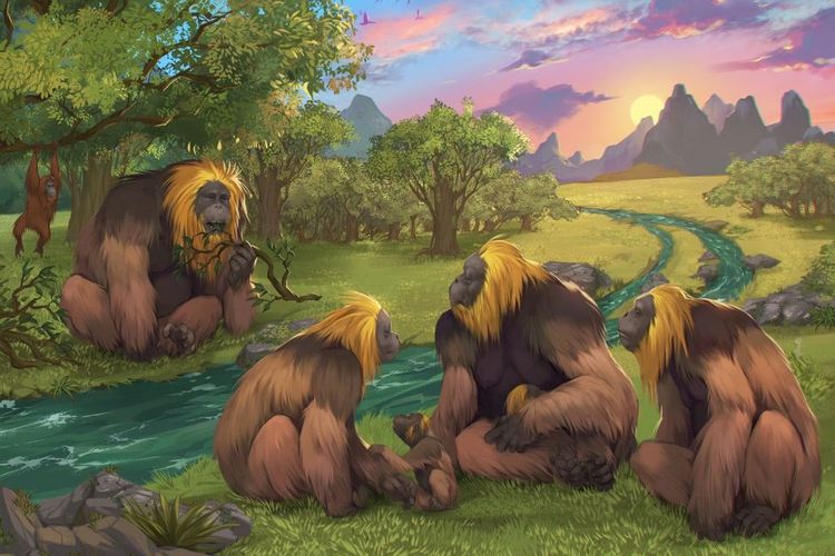Temuan Baru Evolusi Primata Bikin Ilmuwan Terkejut