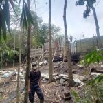 Akhir Usaha Limbah Ayam Ilegal Penyebab Bau Di Lebak