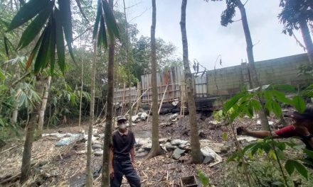 Akhir Usaha Limbah Ayam Ilegal Penyebab Bau Di Lebak