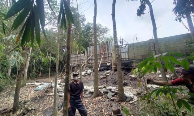 Akhir Usaha Limbah Ayam Ilegal Penyebab Bau Di Lebak