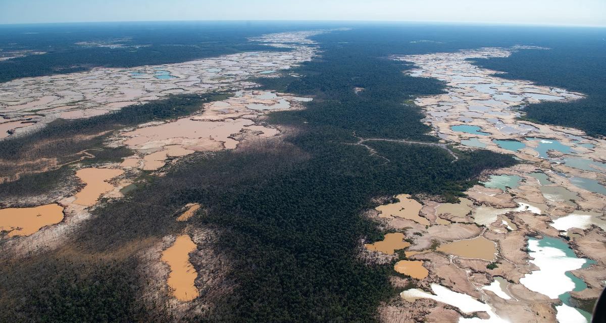 Deforestasi Paksa Amazon: Kekeringan Parah Mengintai
