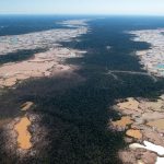 Deforestasi Paksa Amazon: Kekeringan Parah Mengintai