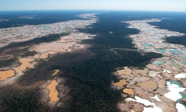 Deforestasi Paksa Amazon: Kekeringan Parah Mengintai